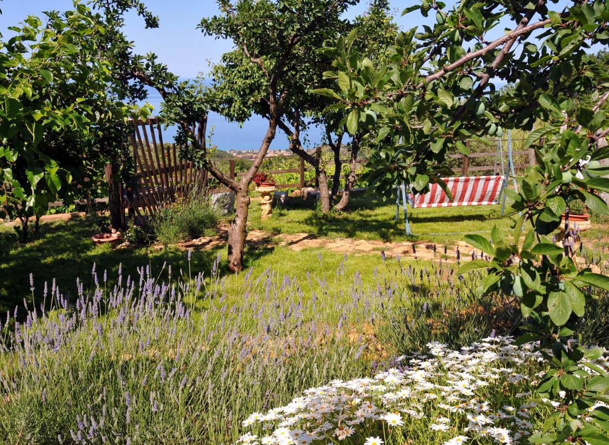 B&B La Sirenetta Diamante Eksteriør billede